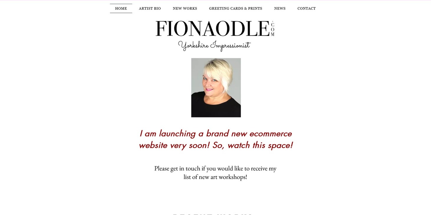 The previous Fionaodle website, designed by it'seeze, website shown on desktop