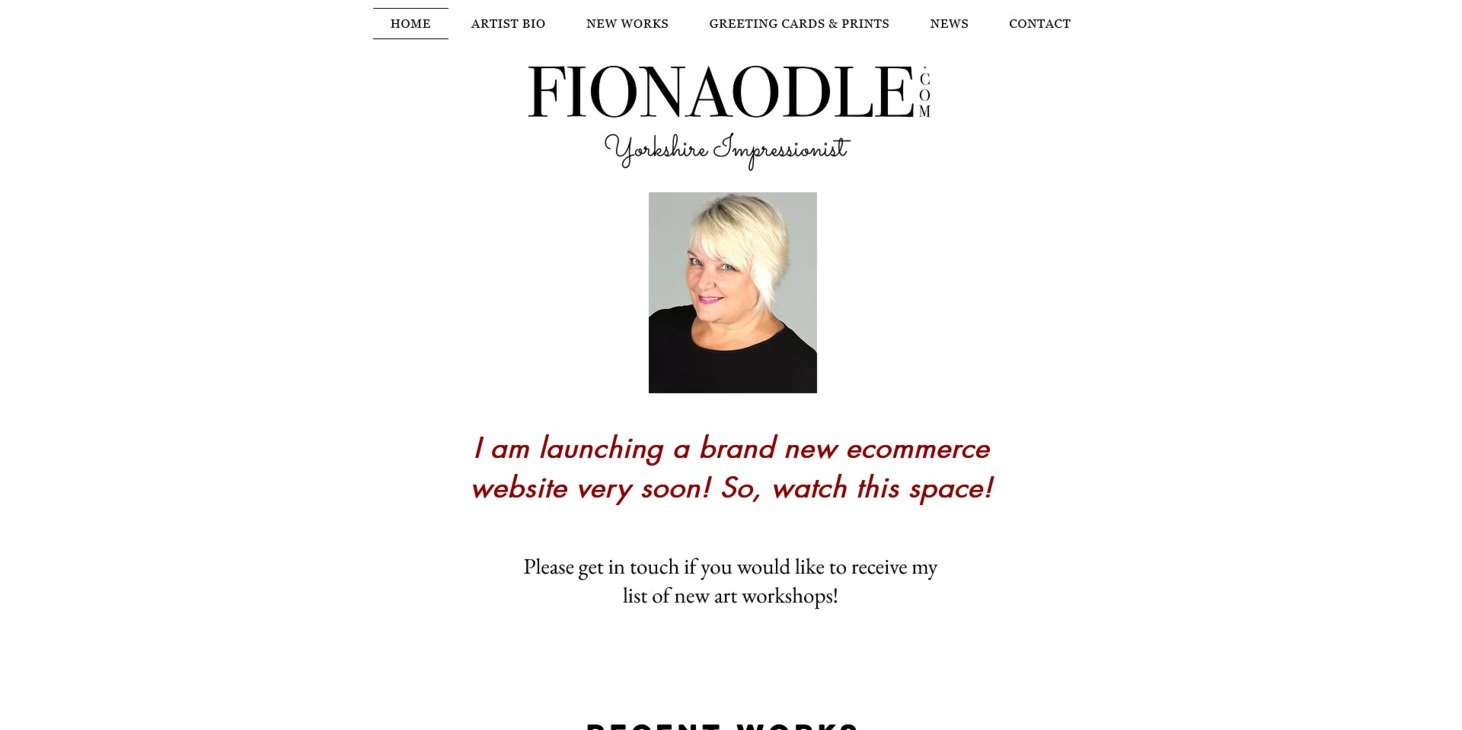 The Fionaodle website, designed by it'seeze, website shown on desktop